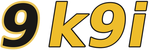 9k9i logo